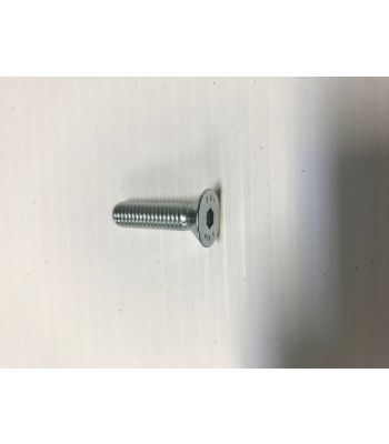 Zund Side Cover Bolts Flat Head Screw, M8 X 1.25 Mm Thread, 30 Mm Long